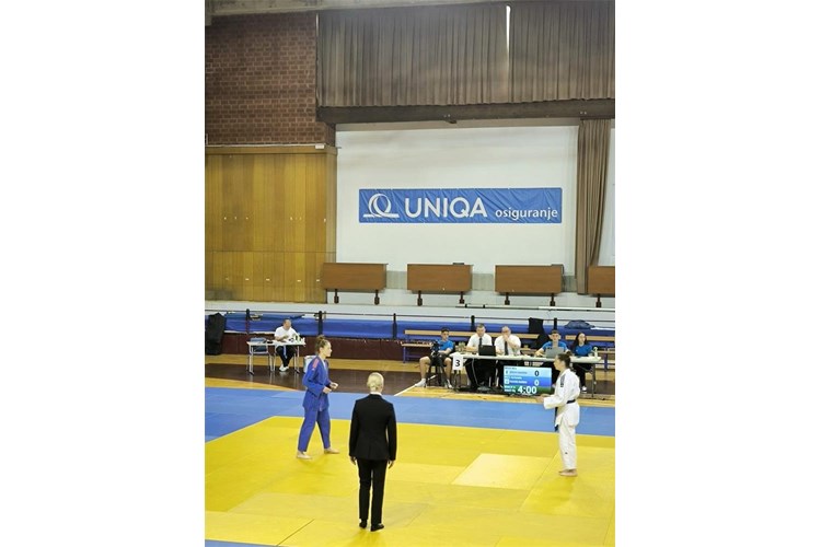Slika 