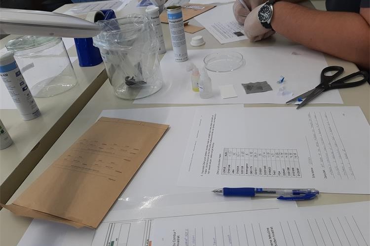 Slika /04_vps/2025/slike/std2.jpg