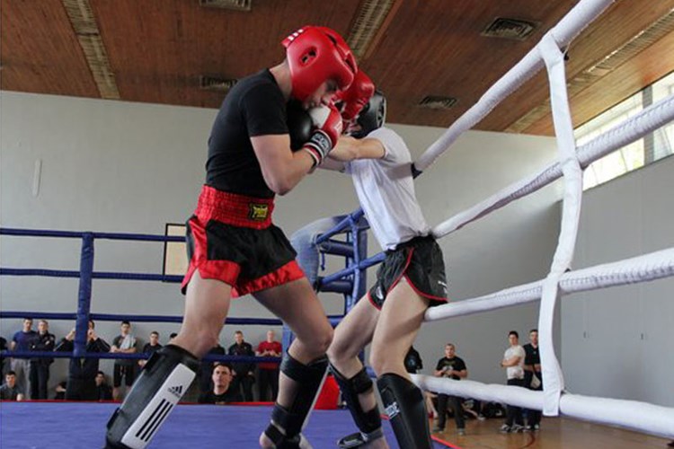 Slika topvijesti/2015/travanj/kickboxingDumlic.jpg