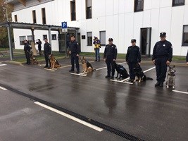 Slika topvijesti/2017/Psi_Centar_23_10.jpg