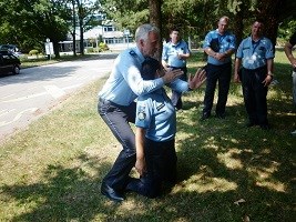 Slika topvijesti/2017/lipanj/CEPOL.jpg