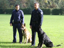 Slika topvijesti/godina2010/LISTOPAD_2010/psi07.jpg