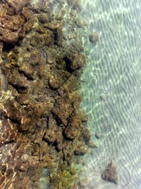 Slika topvijesti/godina_2009/prosinac_09/sadilek01.jpg