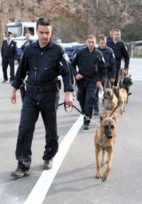 Slika topvijesti/listopad/psi_vjezba.jpg